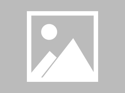 深入研究桥模型，探索科技活动方案